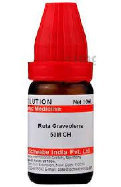 Ruta Graveolens